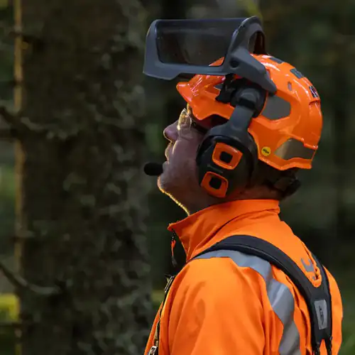 Capacete Florestal Husqvarna Technical com sistema Mips Laranja